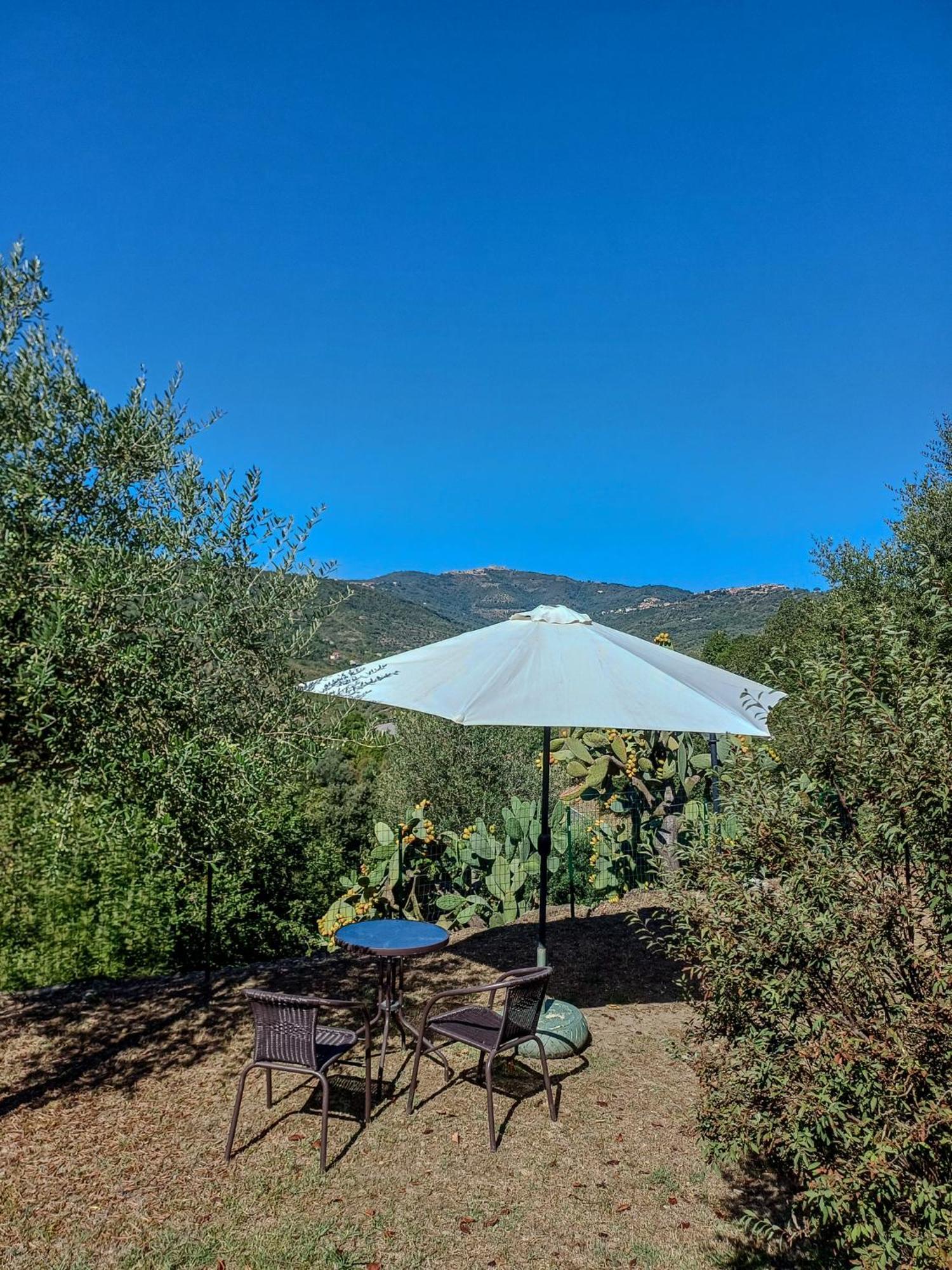 Rutino Casale I Cirillo B&B 외부 사진