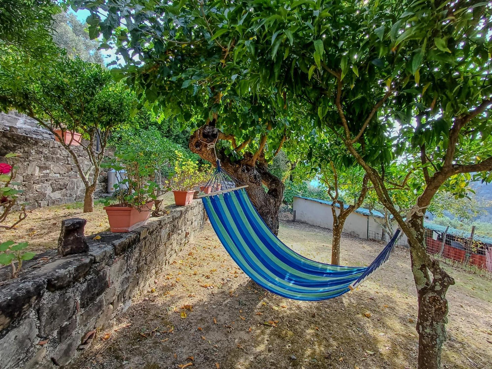 Rutino Casale I Cirillo B&B 외부 사진